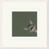 Playtime by Nicky Litchfield, limited edition print