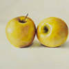 Two Yellow Apples by Kiss Csaba, original painting
