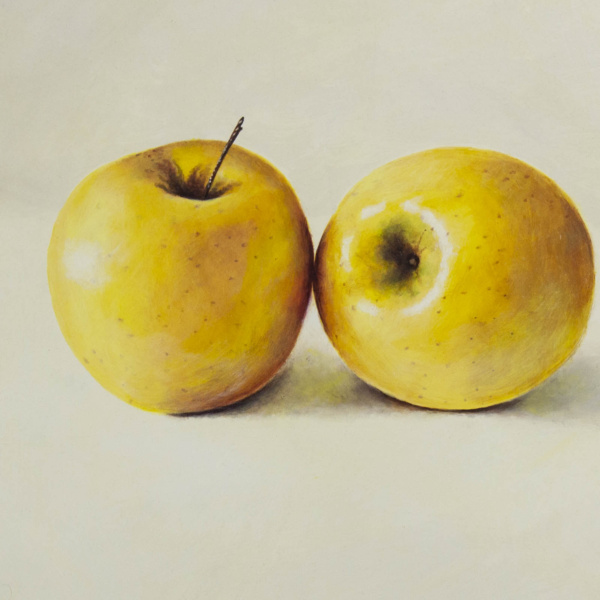 Two Yellow Apples by Kiss Csaba, original painting