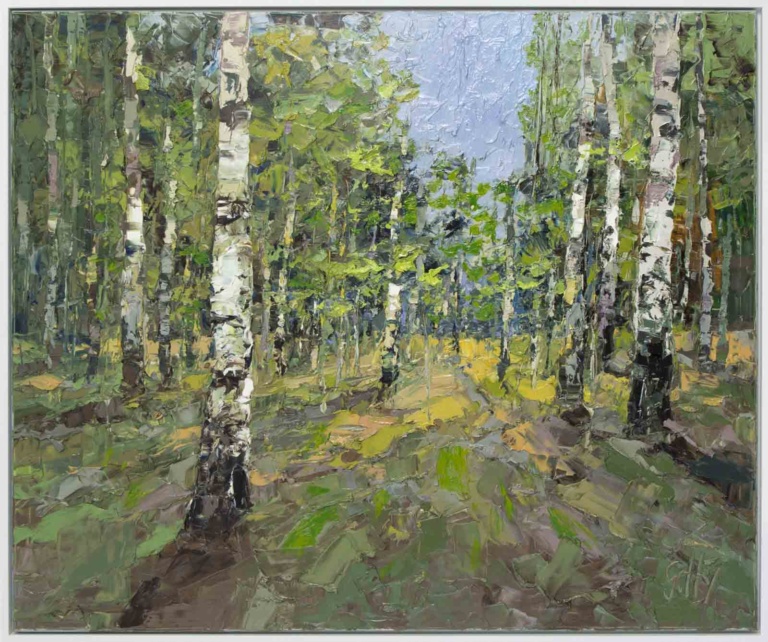 Dappled Light, Silver Birches by Frank Getty
