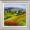 Poppy Fields & Cypresses by Raffaele Fiore, original painting