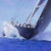 Heeling by Raffaele Fiore, original painting