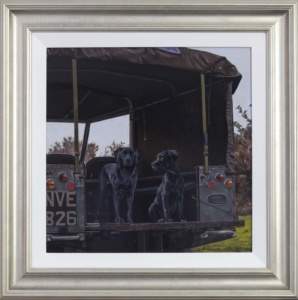 Landrover & Labradors,
