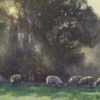 Golden Pastures by Stephen Hawkins, original painting, detail