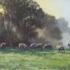 Golden Pastures by Stephen Hawkins, original painting