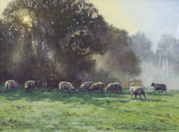 Golden Pastures by Stephen Hawkins, original painting