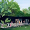 The Ladies Pond by Jenni Murphy, limited edition print, detail