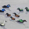 Busy Ducks by David Alderman, original painting