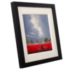 Poppy Barn by Allan Morgan, original painting