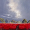 Poppy Barn by Allan Morgan, original painting