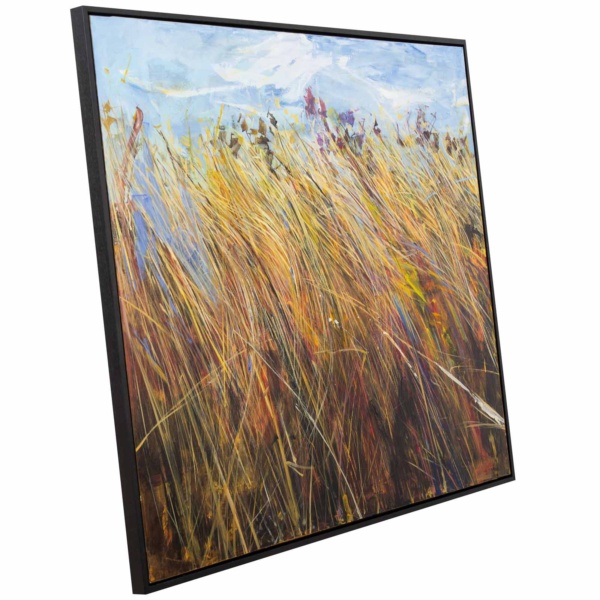 Summer Dreams by Sara Malfer, original painting