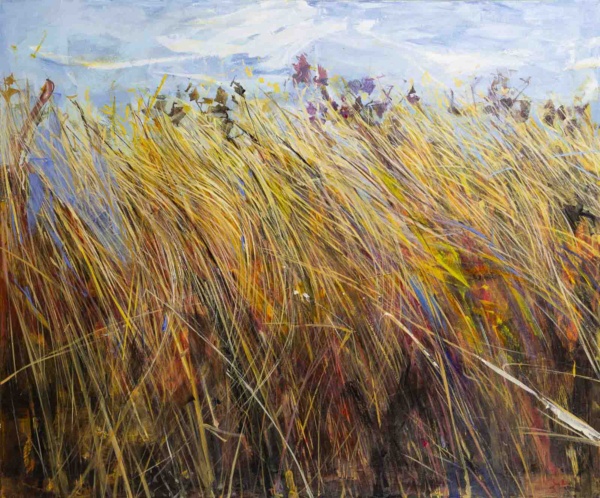 Summer Dreams by Sara Malfer, original painting