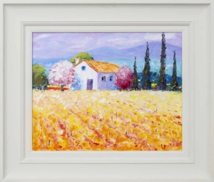 Vineyards, Provence, 