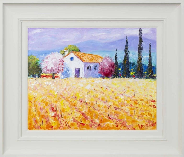 Vineyards, Provence by John Lawrence
