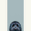 Cute Alert by Nicky Litchfield, limited edition print