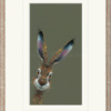 Hugo by Nicky Litchfield, limited edition print
