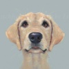 Eager To Please by Nicky Litchfield, limited edition print, detail