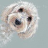 Don’t Forget Me by Nicky Litchfield, limited edition print, detail