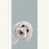 Don’t Forget Me by Nicky Litchfield, limited edition print