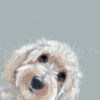 Don’t Forget Me by Nicky Litchfield, limited edition print