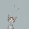 Enchanted by Nicky Litchfield, limited edition print
