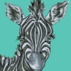 Stripey Wonder by Amy Louise, limited edition print