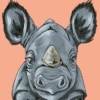 Rhino Rumble by Amy Louise, limited edition print