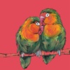 Everlasting Love by Amy Louise, limited edition print