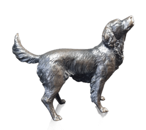 Medium Springer Spaniel (1197), Michael Simpson