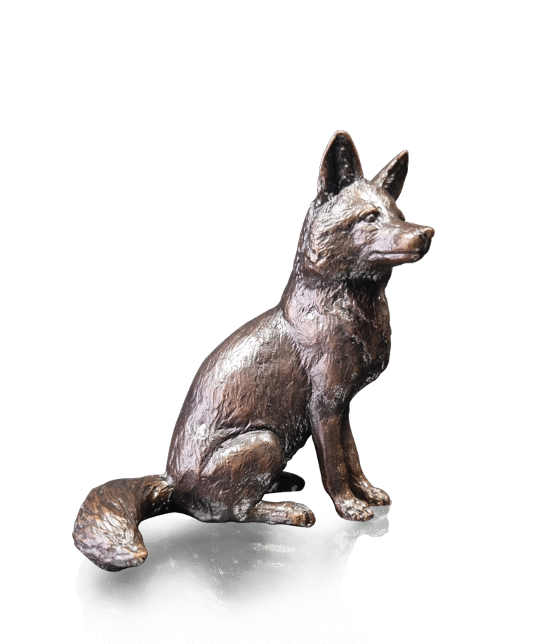 Fox Sitting (1254)