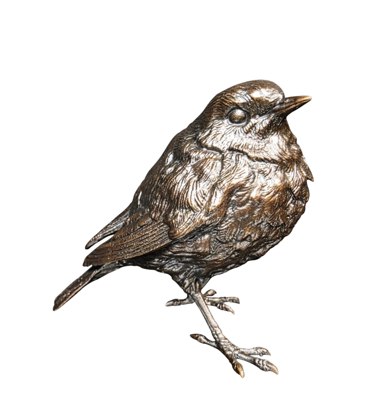 Robin (1256)