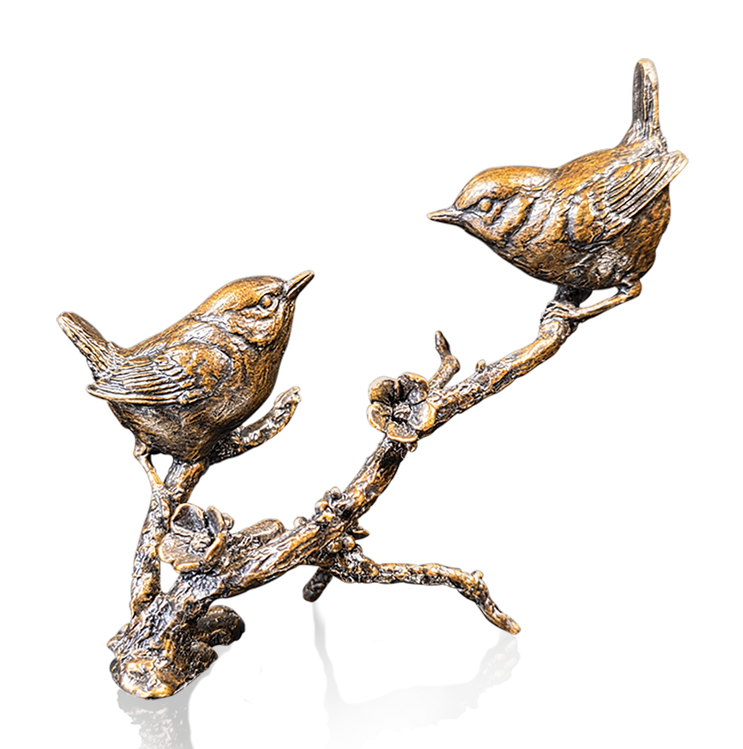 Wren Pair (1260)