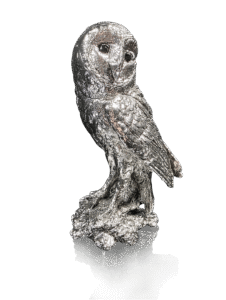 Twilight – Barn Owl (331NP),