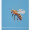 Be More Bee II (Original) by Giles Ward, original painting