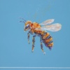 Be More Bee II (Original) by Giles Ward, original painting