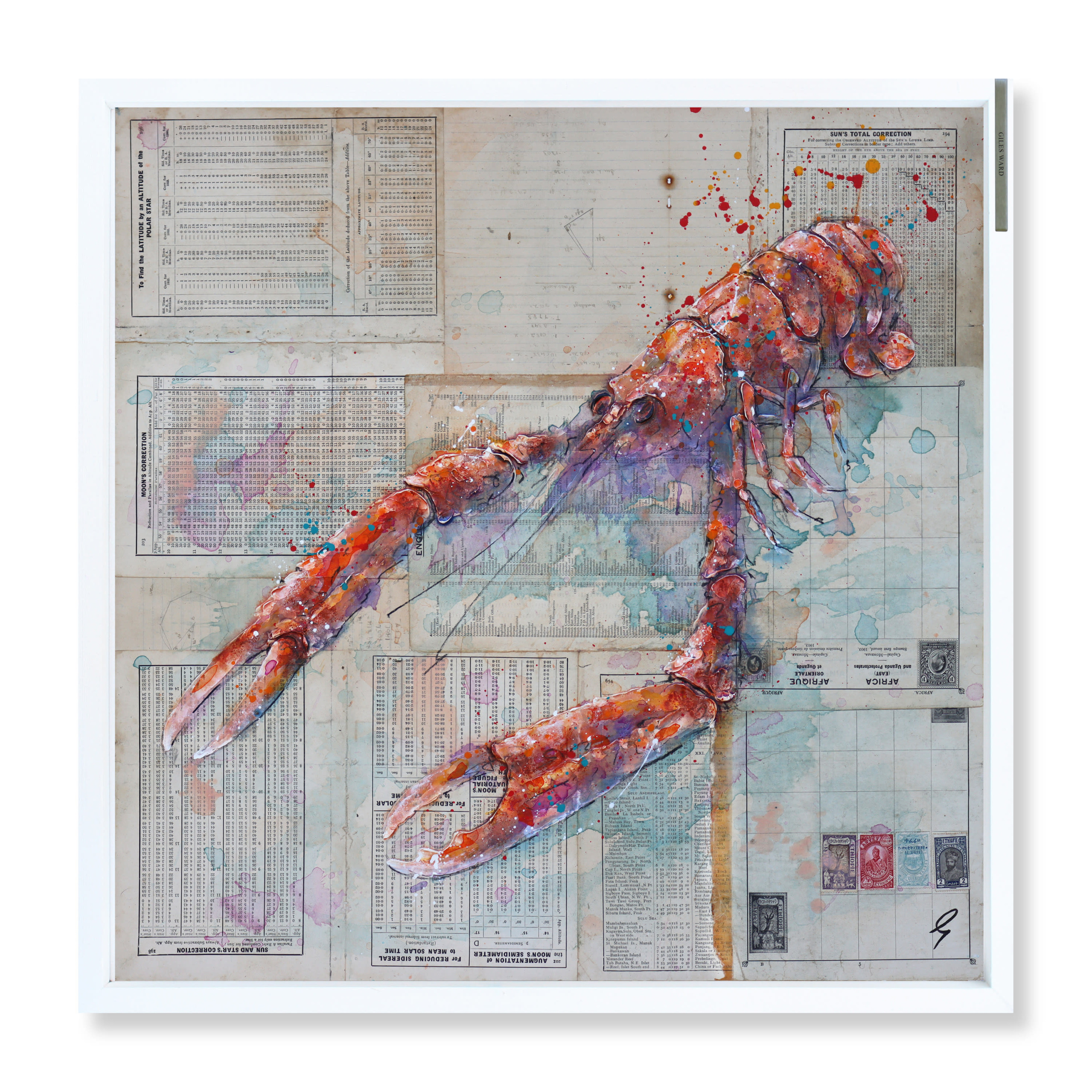 Langoustine Seas