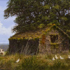 Countryside Life by Edward Hersey, original painting