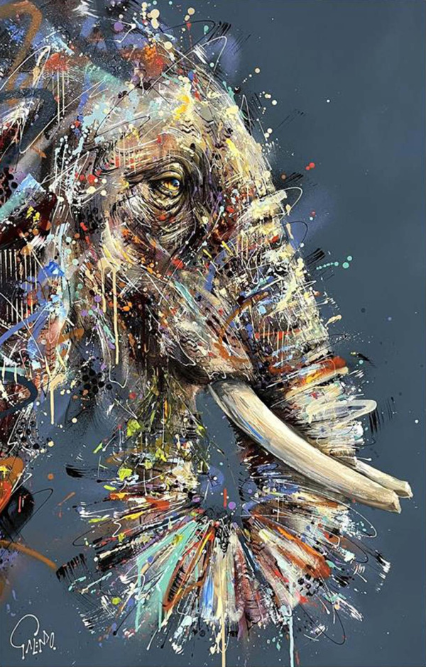 Willow by Joe Galindo, limited edition print