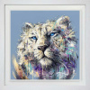 Enzo by Joe Galindo, limited edition print