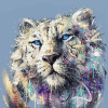 Enzo by Joe Galindo, limited edition print