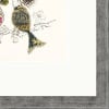 Three Liberty Ladies by Anna Wright, limited edition print