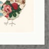 Spring Chickens by Anna Wright, limited edition print