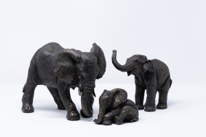 Elephant Bundle, Suzie Marsh