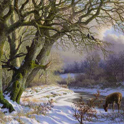 Daniel Van der Putten