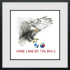 Grab Life By The Balls by Scott Tetlow, limited edition print