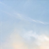 Whispering Horizon by Allan Morgan, original painting, detail