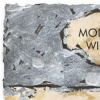I Can Resist Everything by Hue Folk, limited edition print, detail
