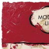 I Speak Fluent Sarcasm by Hue Folk, limited edition print, detail