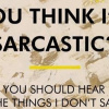 You Think I’m Sarcastic by Hue Folk, limited edition print, detail