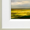 Fields Of Gold by Harry Brioche, original painting, detail